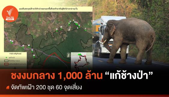 ชงของบกลาง 1,000 ล้านแก้ช้างป่า จัดทัพเฝ้า 200 ชุด 60 จุดเสี่ยง