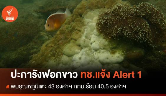 โลกเดือด! อุณหภูมิไทยแตะ 43 องศาฯ ปะการังฟอกขาว