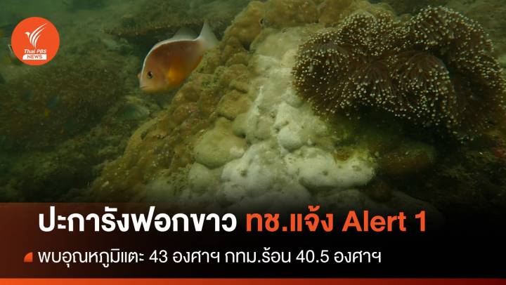 โลกเดือด! อุณหภูมิไทยแตะ 43 องศาฯ ปะการังฟอกขาว
