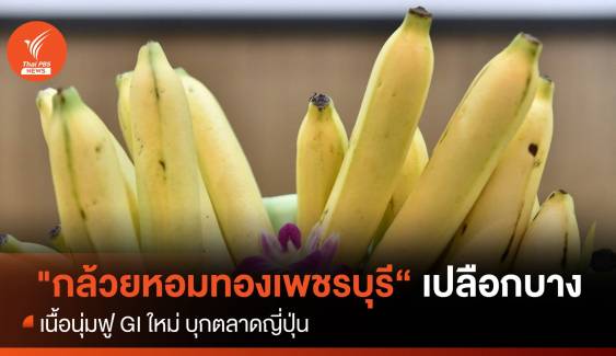"กล้วยหอมทองเพชรบุรี" เปลือกบาง นุ่มฟู GI ใหม่ บุกตลาดญี่ปุ่น