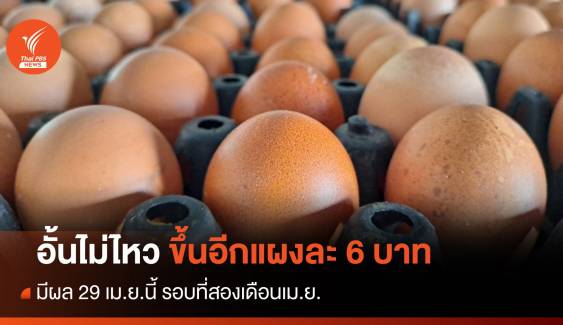 รอบที่ 2! “ไข่ไก่” ปรับราคาขึ้นอีกแผงละ 6 บาท มีผล 29 เม.ย.นี้ 