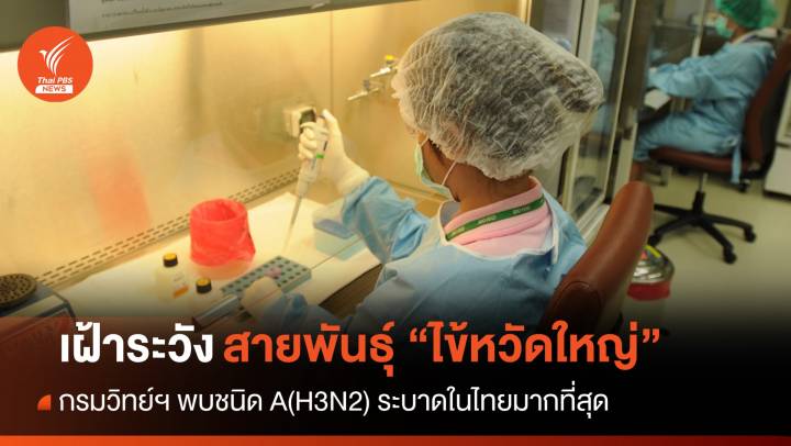 กรมวิทย์ฯ พบไข้หวัดใหญ่ชนิด A(H3N2) ระบาดในไทยมากสุด