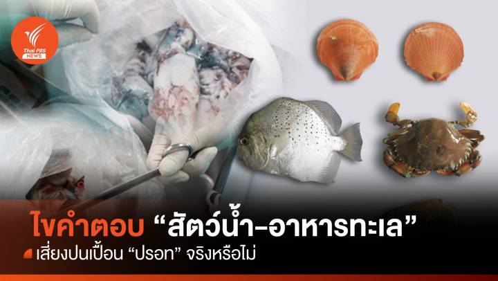 ไขคำตอบกิน "สัตว์น้ำ - อาหารทะเล" เสี่ยงปนเปื้อน "ปรอท" จริงหรือไม่ 