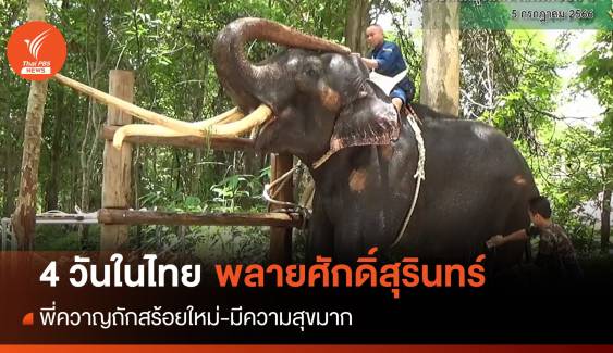 4 วันในไทย "พลายศักดิ์สุรินทร์" มีความสุข-พี่ควาญถักสร้อยใหม่รับขวัญ