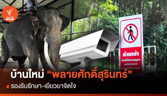 สำรวจจุดกักโรค-บ้านใหม่ศูนย์ช้างลำปางรับ  "พลายศักดิ์สุรินทร์" ถึงไทย 2 ก.ค.