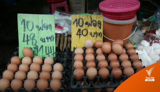 ใครบ้าง? กิน "ไข่ไก่แพง" จ่อฟองละ 4 บาท-ร้านข้าวตามสั่งไข่ดาวพุ่ง 10 บาท