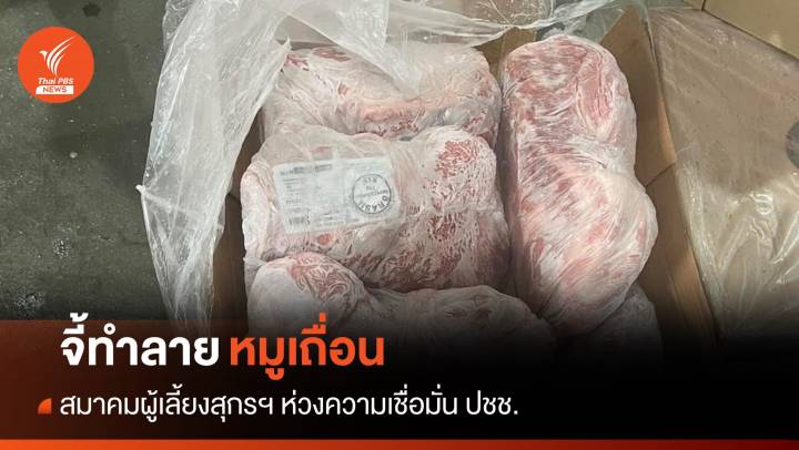 จี้ทำลาย "หมูเถื่อน" 4.3 พันตัน ห่วงความเชื่อมั่น ปชช.