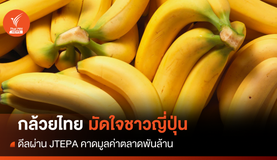 กล้วยไทยมัดใจ "ชาวญี่ปุ่น" สร้างมูลค่า 1,000 ล้าน