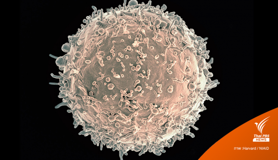“ไวรัสโบราณ” อายุหลายล้านปี อาจช่วยรักษามะเร็งได้