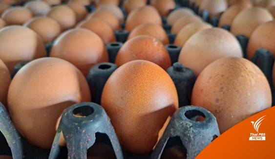ข่าวดี! ไข่ไก่ลดราคา 20 สตางค์ต่อฟองมีผลวันนี้