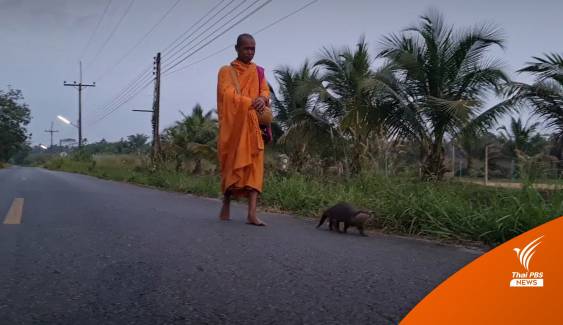 "บุญรอด" นากสายบุญ ลูกศิษย์วัดท่าลาด บิณฑบาตกับหลวงตา