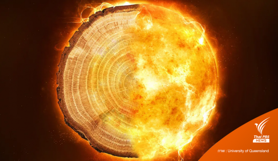 "วงปีของไม้" บ่งบอกรังสีอันตรายจากอวกาศมาปะทะทุก 2-3 พันปี