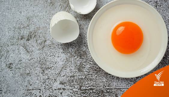 นักวิจัย ม.พรินซ์ตัน ใช้ "ไข่ขาว" กำจัดไมโครพลาสติกจากน้ำทะเล