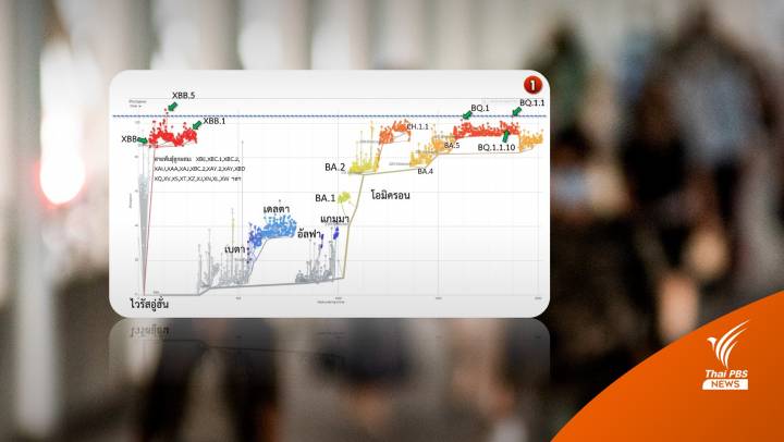 โอมิครอนลูกผสม “XBB” ครองอันดับ 1 หลบเลี่ยงภูมิคุ้มกัน