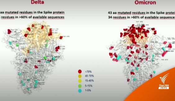 เปิดภาพไวรัสโควิด "โอมิครอน" โปรตีนหนามมากกว่าเดลตา