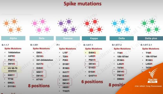 "หมอยง" เฉลย 10 ข้อต้องรู้จักไวรัสกลายพันธุ์ "โอมิครอน" 