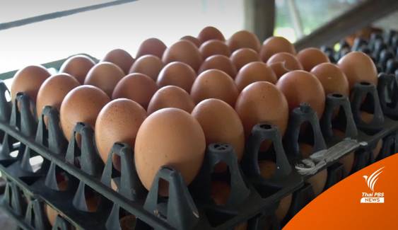 ไข่ไก่คละหน้าฟาร์มปรับ 10 สตางค์ต่อฟอง