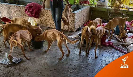 ช่วยสุนัข 15 ตัว อดอาหาร-น้ำ หลังเจ้าของตกงานช่วงโควิด