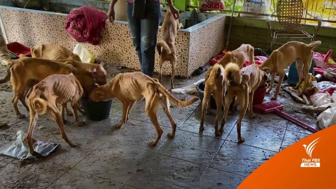 ช่วยสุนัข 15 ตัว อดอาหาร-น้ำ หลังเจ้าของตกงานช่วงโควิด