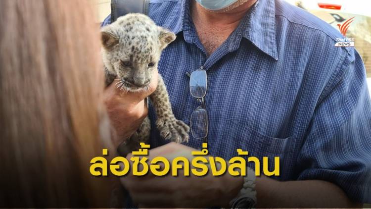 เส้นทาง &quot;ลูกเสือดาว&quot; ลอบขายจากสวนสัตว์ไทยส่งอินเดีย 