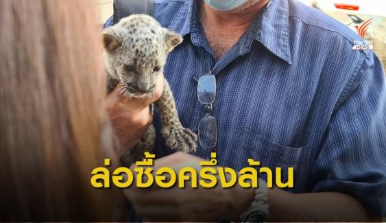 เส้นทาง "ลูกเสือดาว" ลอบขายจากสวนสัตว์ไทยส่งอินเดีย 