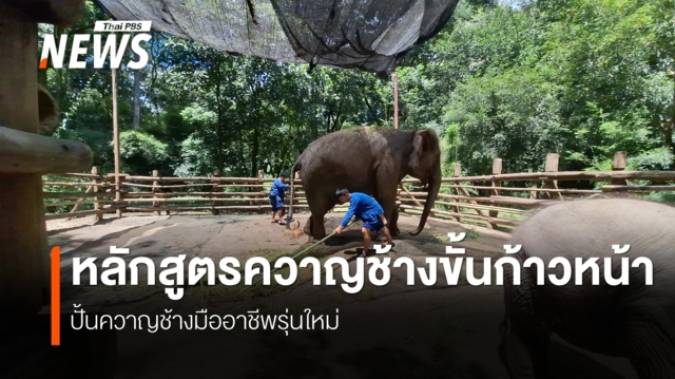 "สถาบันคชบาล" เปิดสอน "ควาญช้าง" ก้าวหน้ารุ่นแรก เชื่อมภูมิปัญญาโบราณ-มาตรฐานสากล