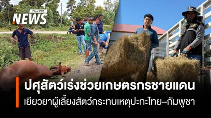 ปศุสัตว์เร่งช่วยเกษตรกรชายแดน  เยียวยาผู้เลี้ยงสัตว์กระทบเหตุปะทะไทย–กัมพูชา