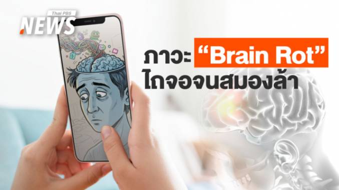 ไถจอจนสมองล้า เปิดภาวะ "Brain Rot" ภัยเงียบยุคดิจิทัล