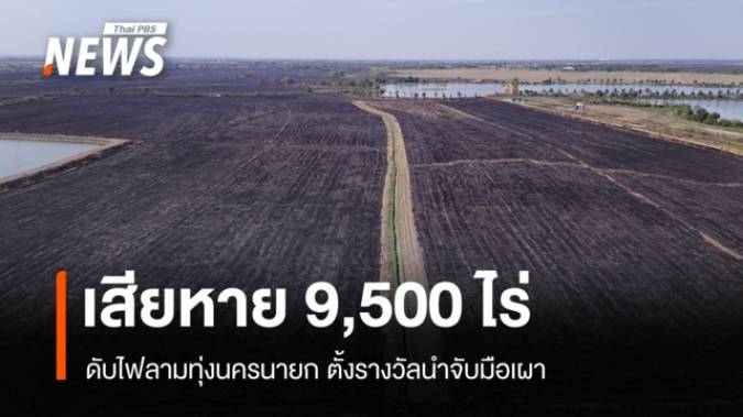 ดับแล้ว! ไฟลามทุ่งนครนายกเสียหาย 9,500 ไร่ ตั้งรางวัลนำจับมือเผา