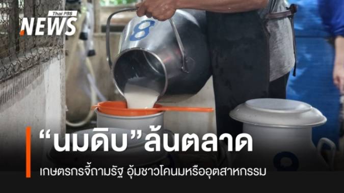 เกษตรกรแย้งเอกชน นมดิบล้นตลาดเพราะนมผง จี้ถามรัฐ อุ้มชาวโคนม หรืออุตสาหกรรม