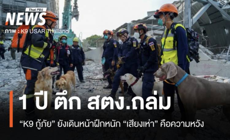 1 ปีตึก สตง.ถล่ม “K9 สี่ขากู้ภัย“ ยังเดินหน้าฝึกหนัก “เสียงเห่า” คือความหวังแห่งชีวิต