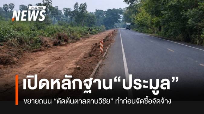เปิดหลักฐานประมูลสร้างถนน ตัด “ต้นตาลดาบวิชัย” ผู้รับเหมาทำ ก่อนประกาศ “จัดซื้อจัดจ้าง”