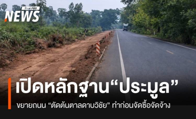 เปิดหลักฐานประมูลสร้างถนน ตัด “ต้นตาลดาบวิชัย” ผู้รับเหมาทำ ก่อนประกาศ “จัดซื้อจัดจ้าง”