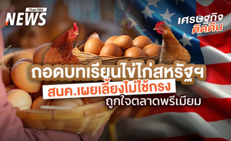 ถอดบทเรียนไข่ไก่สหรัฐฯ  สนค.เผยเลี้ยงไม่ใช้กรง ถูกใจตลาดพรีเมียม