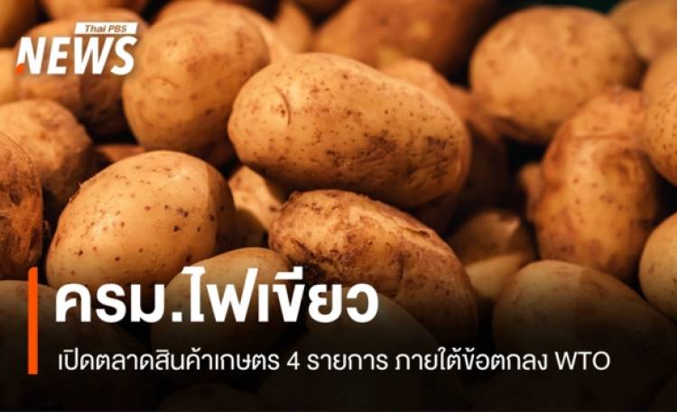 https://news.thaipbs.or.th/media/G0DL5oPyrtt5HBAjJd6cYonMkfLqIWYBIndQaRuRH3FF0mHVhWV8xW.jpg
