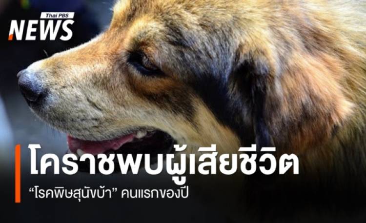 https://news.thaipbs.or.th/media/G0DL5oPyrtt5HBAjJd6cqbmyb4BH1roXspXwV4sfdTHqML7mdCa3q7.jpg