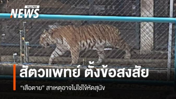 สัตวแพทย์ตั้งข้อสังเกต "เสือตาย 72 ตัว" ที่เชียงใหม่ สาเหตุอาจไม่ใช่มาจาก "ไข้หัดสุนัข"