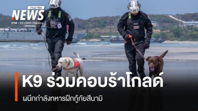 K9 USAR Thailand ผนึกกำลังทหารฝึกกู้ภัยสึนามิในคอบร้าโกลด์ 2026