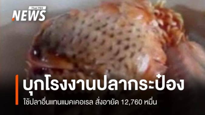 อย.บุกตรวจโรงงานปลากระป๋องใช้ปลาอื่นแทนแมคเคอเรล ยึด 12,760 กระป๋อง