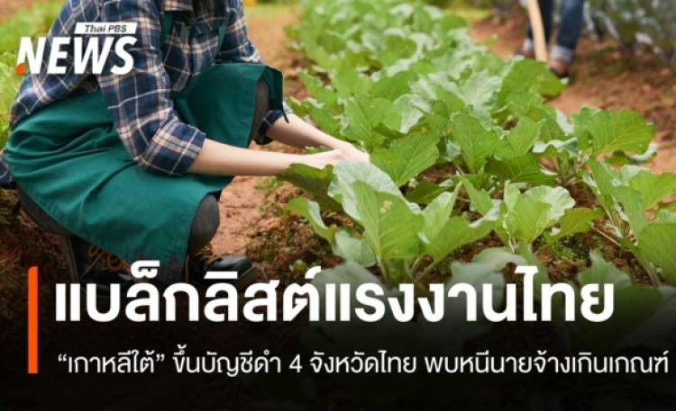 เกาหลีใต้แบล็กลิสต์ 4 จังหวัดไทย ระงับส่งแรงงานเกษตรวีซา E-8