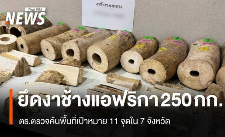 ตร.ตรวจค้นพื้นที่เป้าหมาย 11 จุดใน 7 จังหวัด ยึดงาช้างแอฟริกา 250 กก.รวบ 9 ผู้ต้องหา