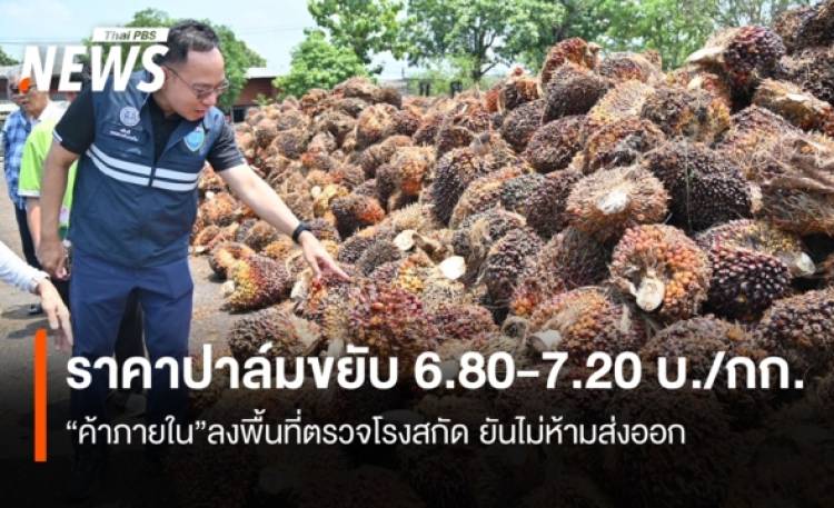 ราคาปาล์มขยับแล้ว 6.80-7.20 บ./กก. “ค้าภายใน”ลงพื้นที่ตรวจโรงสกัด ยันไม่ห้ามส่งออก