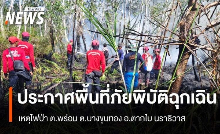 ผู้ว่าฯ นราธิวาส ประกาศพื้นที่ภัยพิบัติฉุกเฉิน ไฟป่า ต.พร่อน ต.บางขุนทอง