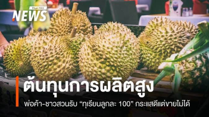 พ่อค้า-ชาวสวนชี้ "ทุเรียนลูกละ 100" กระแสดีแต่ขายไม่ได้ เหตุต้นทุนสูง