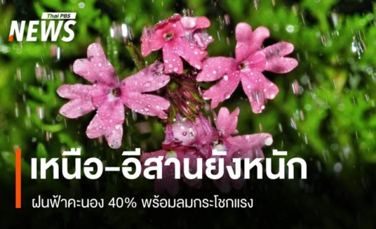 สภาพอากาศวันนี้ เหนือ-อีสานยังหนัก! ฝนฟ้าคะนอง 40% พร้อมลมกระโชกแรง