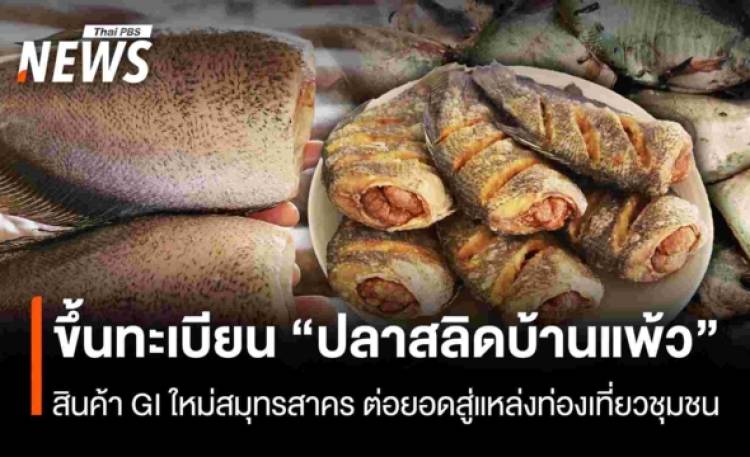 ขึ้นทะเบียน “ปลาสลิดบ้านแพ้ว”  สินค้า GI ใหม่สมุทรสาคร ต่อยอดสู่แหล่งท่องเที่ยวชุมชน