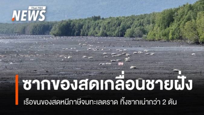 เรือขนของสดหนีภาษีจมทะเลตราด ทิ้งซากเน่ากว่า 2 ตัน