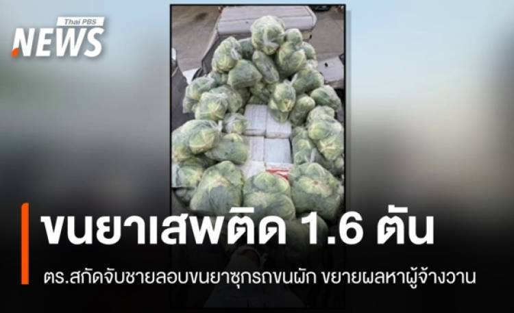 รวบตัวชายขนยาเสพติด 1.6 ตันซุกรถขนผัก ขยายผลหาผู้จ้างวาน