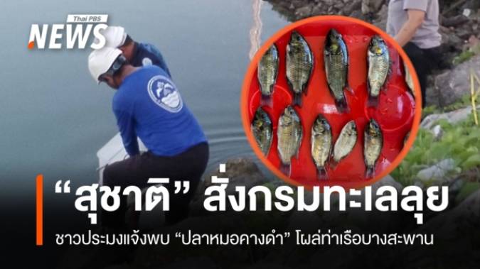 "สุชาติ" สั่งกรมทะเลลุยตรวจ "ปลาหมอคางดำ" โผล่ท่าเรือน้ำลึกบางสะพาน