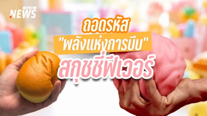 ทำไม "สกุชชี่" ถึงกลายเป็นเครื่องบำบัดจิตใจของคนวัยทำงาน ?